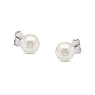 14K White Gold Round White 7.5-8.0MM Saltwater Akoya Cultured Pearl Stud Earrings AAA+ Quality