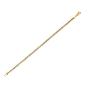 3.1mm 14k Yellow Gold Round Pave Franco Chain