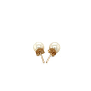 14k Yellow Gold Freshwater Cultured White Pearl Stud Earrings (6.0 mm)